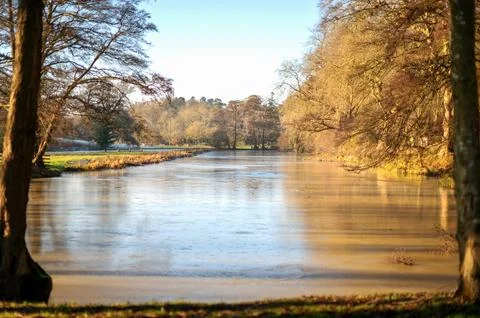 Sunlit pond surrounded by bare winter trees. Stock Photos