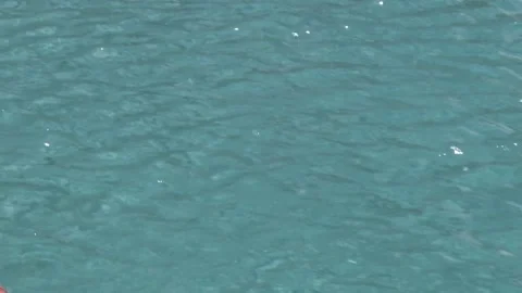 Sunlit Pool Sparkles Stock Footage 200886612