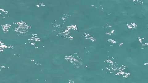 Sunlit Pool Sparkles Stock Footage 200886622