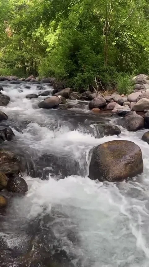 Sunlit Rainforest River Pool Stock Footage 341629140