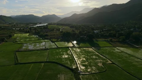Sunlit Rice Paddies Reflecting Light in Mountain Valley Stock Footage 336857028