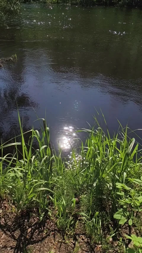 Sunlit ripples and sparkling dancing on dark water surface.  Joyful sun rippl Stock Footage 328918448