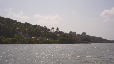 Sunlit river and palm lined waterfront houses in Goa India Vídeos de archivo 347982874