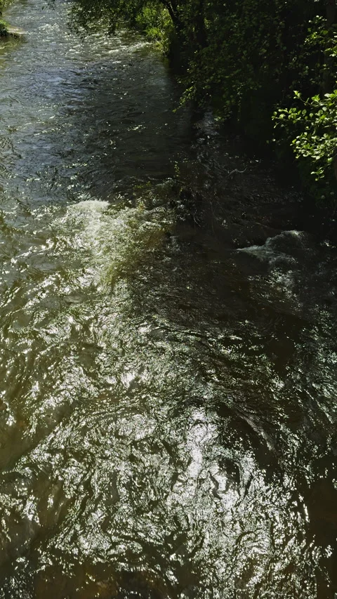Sunlit River Flowing Through Verdant Landscape Stock Footage 275738548