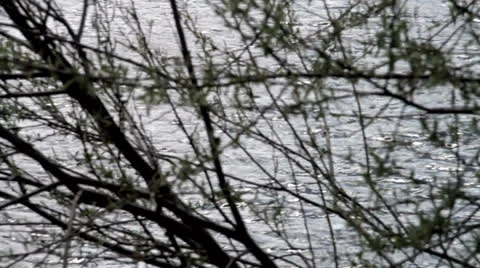 Sunlit River Video stock 23416330