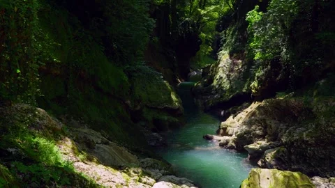 Sunlit River in a Lush Forest Canyon Video stock 332449768