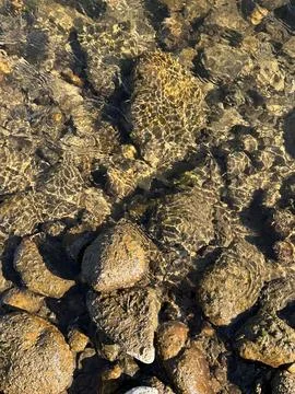 Sunlit River Rocks Under Clear Water Stock Photos