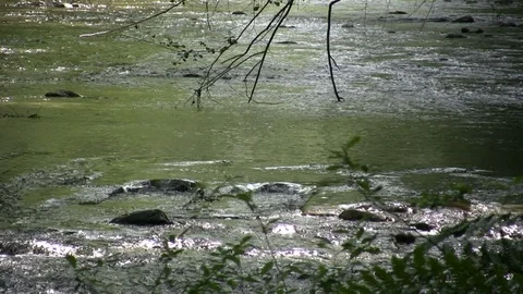 Sunlit River Rushing Over Rocks Stock Footage 106720328