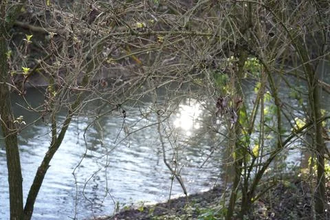 Sunlit River Through Budding Trees, Skylarks Nature Reserve, Nottinghamshire. Stock Photos