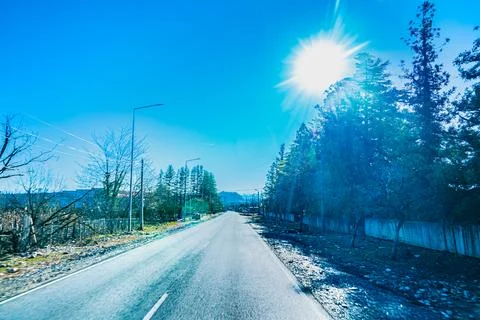 Sunlit Road Through Forest Foto stock