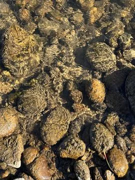 Sunlit Rocks Beneath Clear River Water Stock Photos