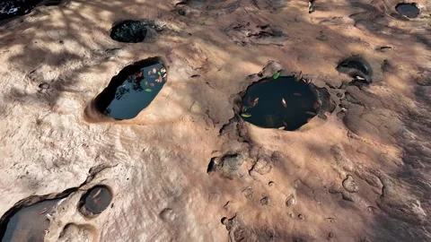 Sunlit Rocky Landscape with Leafy Potholes Stock Footage 263093954