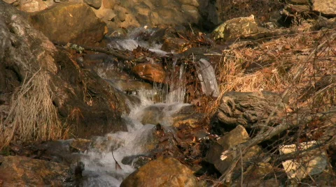 Sunlit Rocky Stream Stock Footage 844294