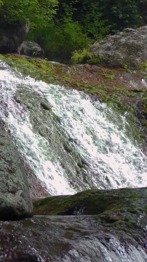 Sunlit Rushing Water Over Mossy Rock Vertical Video 库存影片 346192001