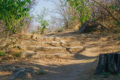 Sunlit rustic stone steps leading up a hill on a dry park trail with scatte.. Stock Photos