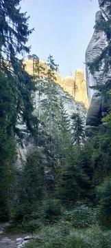 Sunlit Sandstone Tower Through Pine Trees Adrspach 4K Stock Photos