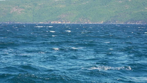 Sunlit Sea With Energetic Wave Motion Stock Footage 338258953