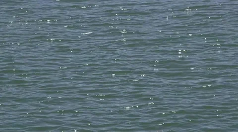 SUNLIT SEA Vídeo Stock 45527090