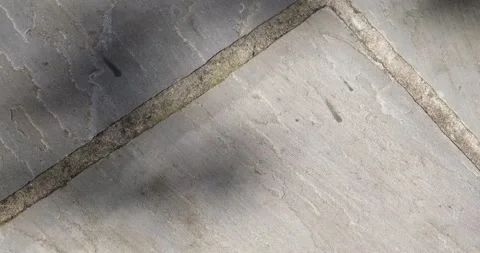 Sunlit shadow of Eucalyptus tree leaves on grey slate patio. Minimalist abstract Stock Footage 197070541