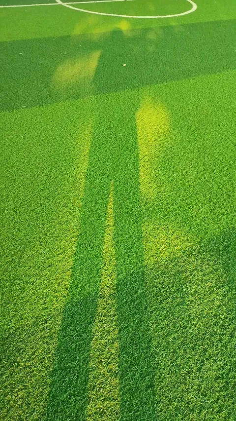 Sunlit Shadow Swaying on Artificial Turf Stockbeeldmateriaal 341452792
