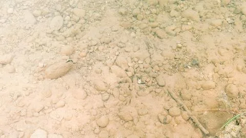 Sunlit Shallow Rocky Riverbed 스톡 사진