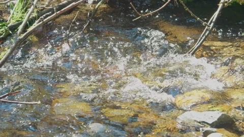 Sunlit shallow stream flowing rapidly over a rocky riverbed Stock Footage 341979674