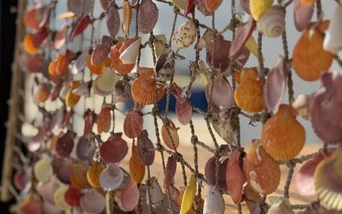 Sunlit shell display hanging in rope net Fotos de archivo