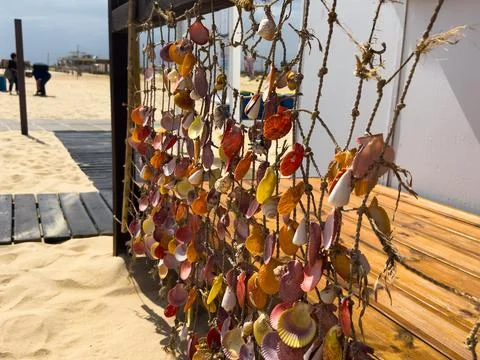 Sunlit shell display hanging in rope net Fotos de archivo