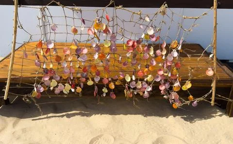 Sunlit shell display hanging in rope net Stock Photos