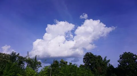 The sunlit sky in the evening with white clouds on a group of natural green t Stock Photos