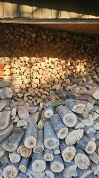 Sunlit Stacked Firewood Stock Photos