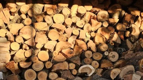 Sunlit Stacked Firewood Stock Photos