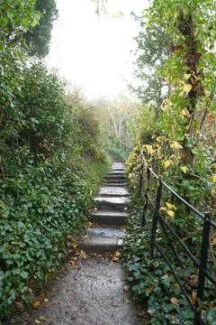 Sunlit Stone Steps Winding Through Autumn Woodland Path, Dyserth, North Wales. Stock Photos