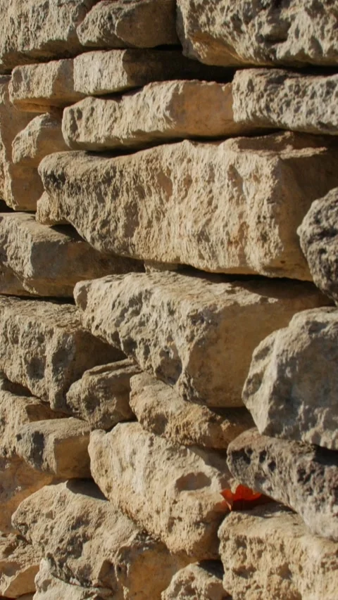 Sunlit stone wall close-up with single red leaf and textured stones Stock Footage 320265198