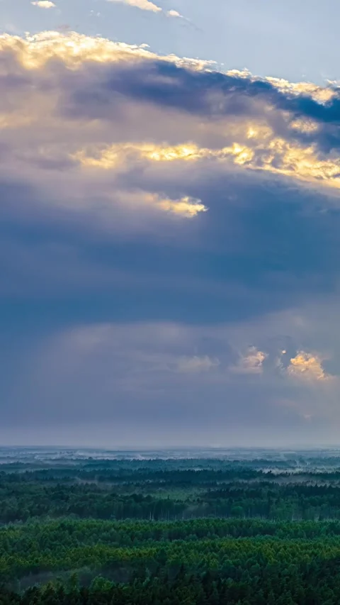 Sunlit Storm Clouds and Rising Mist Over Forest at Golden Hour Stock Footage 342786354