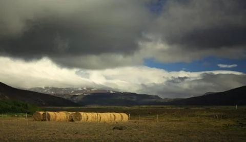 Sunlit straw bales Stock Photos