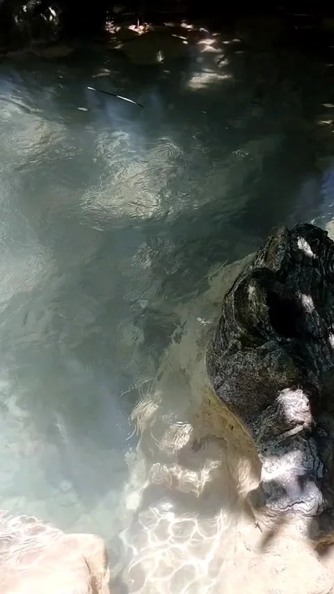 Sunlit Stream and Submerged Rocks Stock Footage 331070560