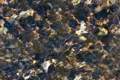 Sunlit Stream Bed background Foto stock