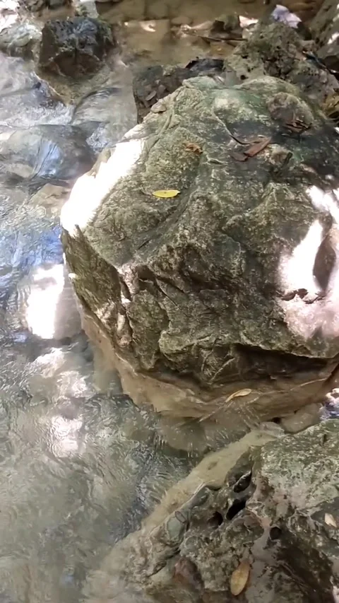 Sunlit Stream in the Forest Stock Footage 331104981