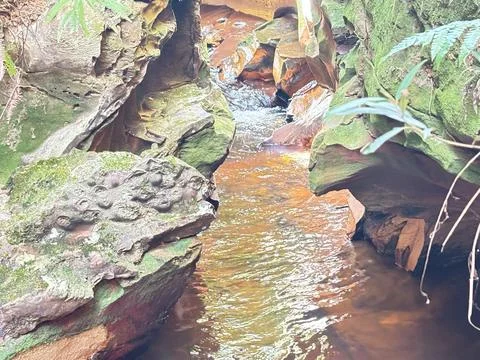 Sunlit stream in rock formation Stock Photos