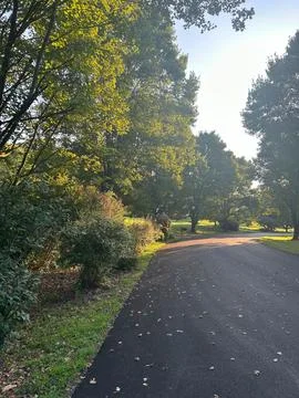Sunlit suburban driveway with trees and bushes in early autumn Stock-Fotos