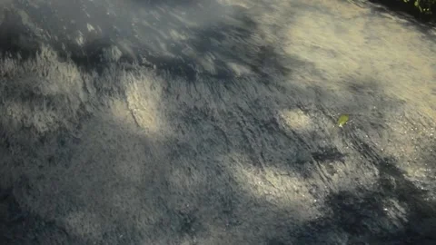 Sunlit Texture Of A Damp Mossy Concrete Drainage Ditch With Soft Tree Shado.. Stock Footage 340452953