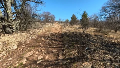 Sunlit trail winds through dry grass and bare trees. Balkan, Eastern Europe, POV Video stock 331778602