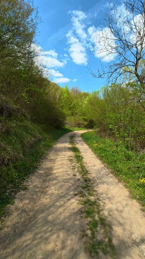 Sunlit trail winds through green foliage. Vertical POV, Balkan, Eastern Europe Видео 333700774