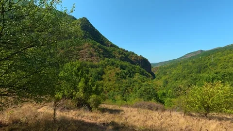 Sunlit trail winds through leafy green trees. Temska River Canyon, Serbia 動画素材 345897787