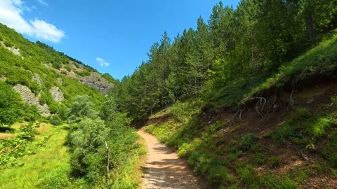 Sunlit trail winds through lush green hills. Gradasnica River Canyon, Serbia Stockbeeldmateriaal 342320044