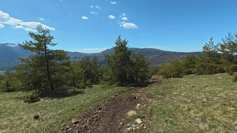 Sunlit trail winds through pine trees. Balkan, Eastern Europe, POV Video stock 333441688