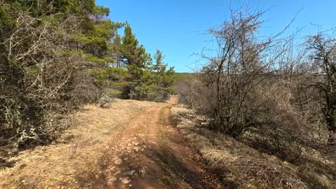 Sunlit trail winds through scrubby woodland. Balkan, Eastern Europe, POV Video stock 331781087