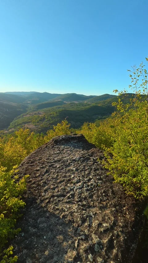 Sunlit trail winds through vibrant green trees. Boracki krs Serbia Vertical 動画素材 345006125