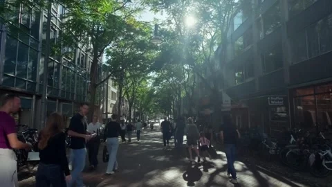 Sunlit tree lined pedestrian shopping street with walking people in central Stock-Footage 348048780
